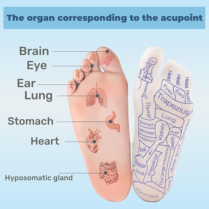 COLSA Reflexology Socks with Tools,Acupoint Socks Set,Beginner Acupoint Massage Tools Large Triangular Sparrow+acupoint Stick(1 Women 1 Men+Gloves)