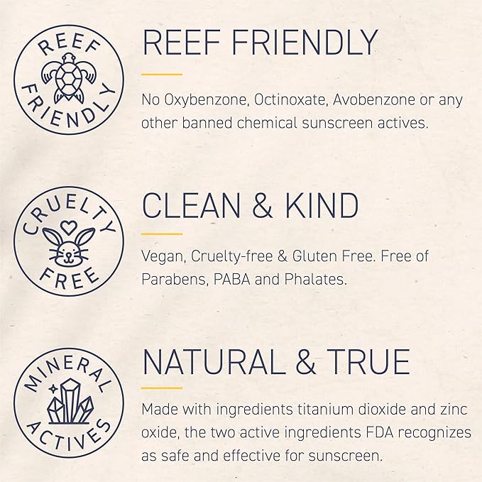 Brush On Block Full Face Sun Protection Kit, Translucent Mineral Powdered Sunscreen & Protective Lip Oil SPF 30, Reef Friendly, FSA HSA Eligible