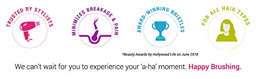 Wet Brush Original Princess Guiding