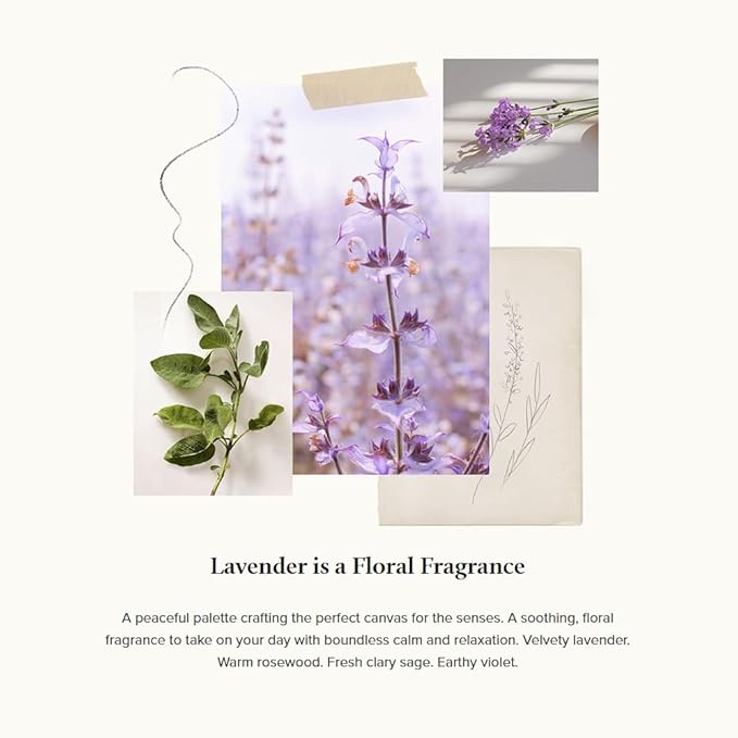 Thymes Fragrance Mist - 3 Oz - Lavender