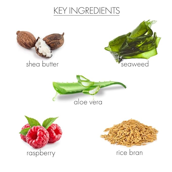 Whish Beauty Body Butter for Women - Moisturizing Body Lotion for Dry Skin - Antioxidant-Rich with Shea Butter, Aloe, & Raspberry Butter - Paraben & Sulfate Free - Pomegranate - 5 fl oz