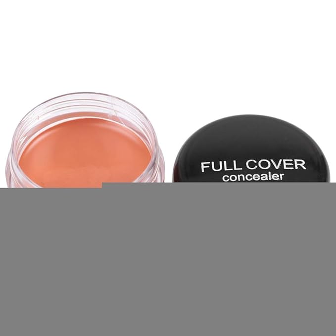 Concealer Conceal Dark Circles Eye Bags Acne Marks Makeup (FC04)