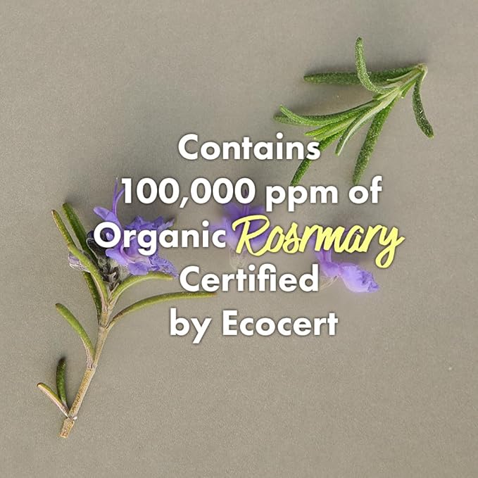 RATED GREEN Cold Brew Rosemary Balancing Scalp Pack w. Charcoal | Detoxifying and Deep Conditioning Care For Oily, Flaky Scalp | Silicone-Free, Korean Vegan Formula | 1.69 fl oz (Pack of 5)