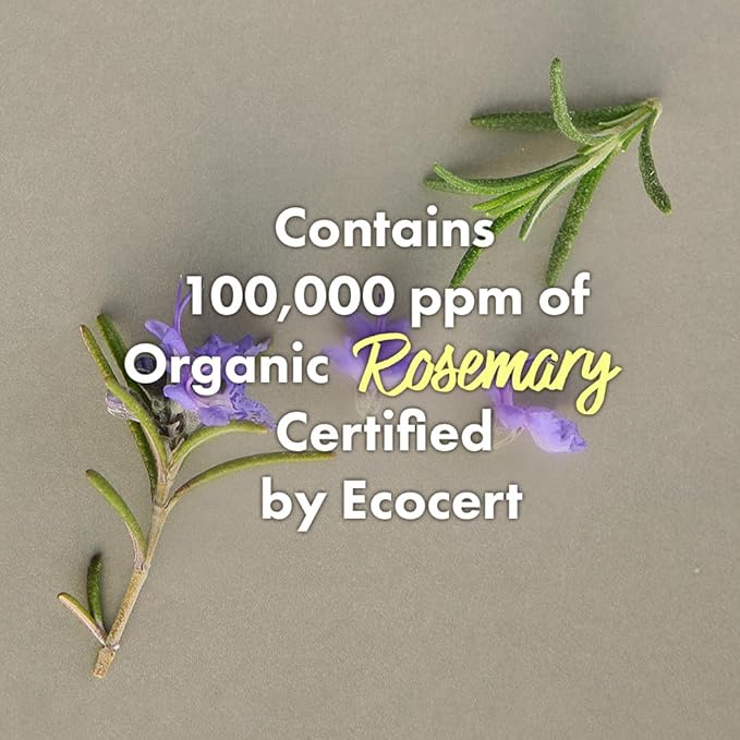 RATED GREEN Cold Brew Rosemary Balancing Scalp Pack w. Charcoal | Rosemary, Charcoal | Detoxifying and Deep Conditioning Care For Oily, Flaky Scalp | Silicone-Free, Korean Vegan Formula | 6.76 Fl. Oz