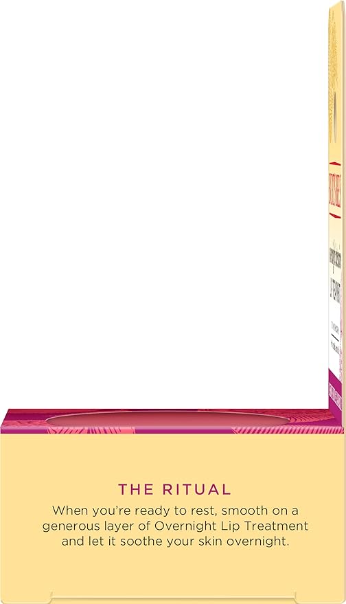 Burt's Bees Overnight Lip Sleeping Mask,