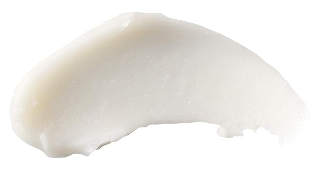 Burts Bees Rosemary and Lemon Lip oz