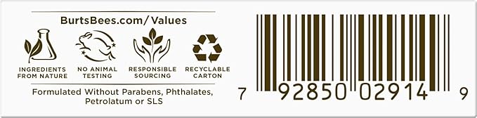 Burt's Bees Medicated Lip Balm, With Eucalyptus Oil and Menthol, Tint-Free, Natural Origin Lip Care, 2 Tubes, 0.15 oz.