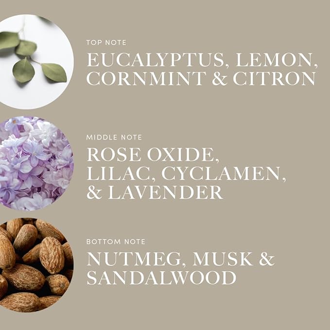 Aroma360 - Across The Universe Pro Pod Fragrance Oil Blend | Hotel Inspired Luxury Essential Oil Diffuser | Aromatherapy Scent Diffuser Oil | Eucalyptus, Citrus and Soft Florals 1.7 fl oz, 50 mL