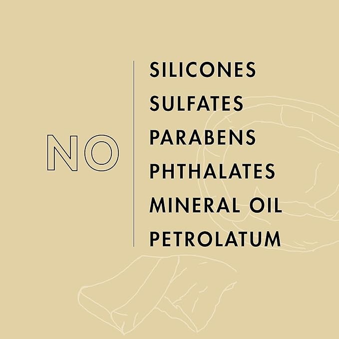 SheaMoisture Virgin Coconut Shampoo, Daily Hydration – Color-Safe Formula with Organic Shea Butter for All Types, Curly Hair Care, 13 Oz