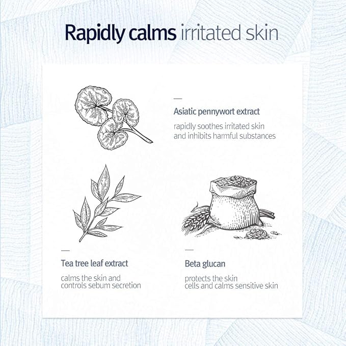 Pyunkang Yul PKY Low pH Pore Deep Cleansing Foam, Pore Cleanser with Fluffy Microbubbles, AHA, Witch Hazel, Zero Irritation, Korean Skincare (3.38 Fl. Oz, 100ml)