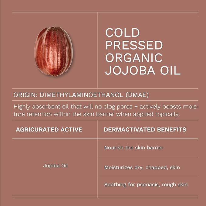 Antioxidant Moisturizing Night Cream with