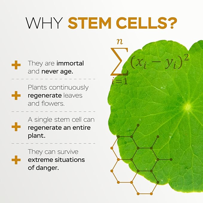 Moisturizing Eye Cream w/Aloe Vera, Collagen, Hyaluronic Acid, Cotton Stem Cells for Dark Circles, Puffiness & Bags - Under Eye Hydration Cream for Women & Men (1 Fl Oz)