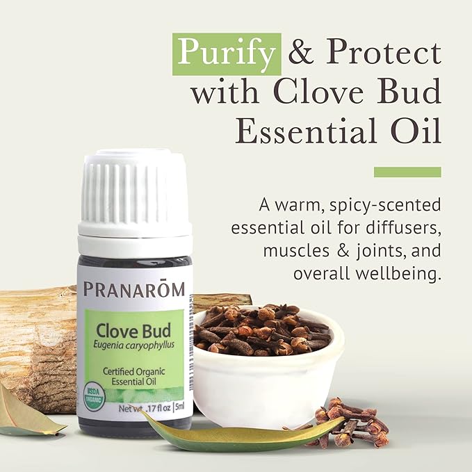 Pranarom USDA Certified Organic Clove Essential Oil (5ml), 100% Pure Undiluted Therapeutic Grade from Sri Lanka & Madagascar for Aromatherapy, Diffuser, Immune Support, DIY Cleaning, Warm Scent
