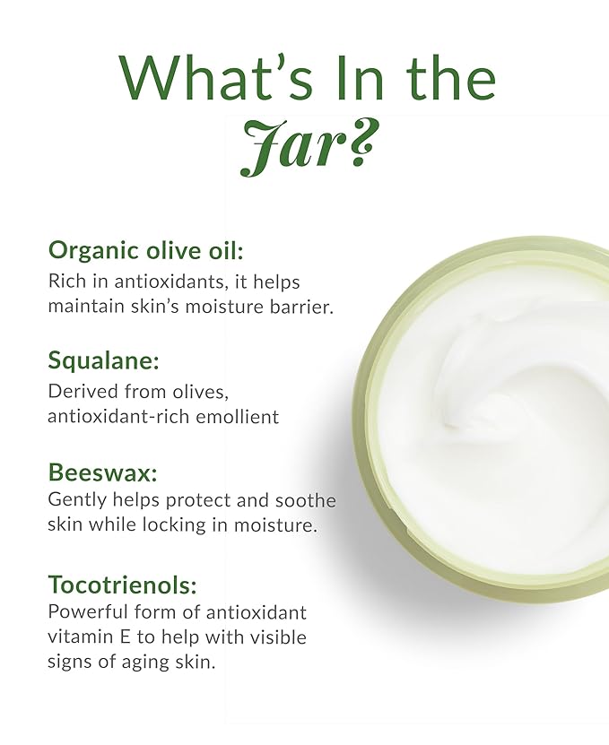 DHC Olive Virgin Oil Essential Cream, Moisturizer, Hydrating, Promotes Skin Elasticity, Radiant, Fragrance and Colorant Free, Ideal for All Skin Types, 1.7 oz. Net wt.