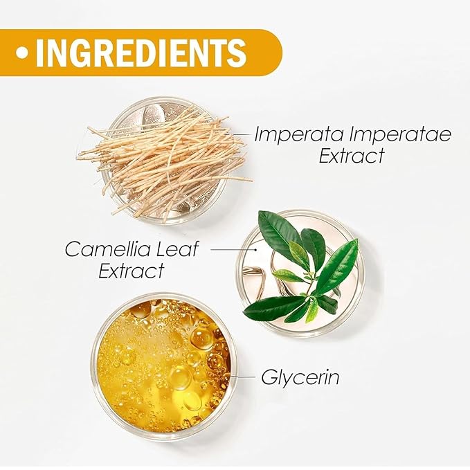 Mineral Sunscreen Setting Powder, Mineral Brush Setting Face Powder Makeup SPF 35 PA Oil Control Natural Matte Finish, Lightweight Breathable Concealer Brush Powder (Medium, 8g)