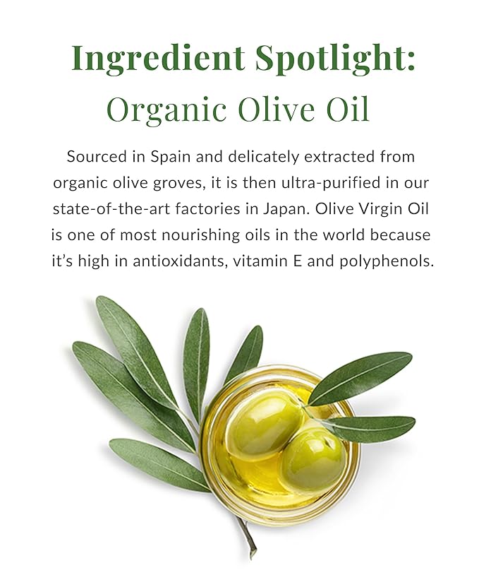 DHC Olive Virgin Oil Essential Cream, Moisturizer, Hydrating, Promotes Skin Elasticity, Radiant, Fragrance and Colorant Free, Ideal for All Skin Types, 1.7 oz. Net wt.