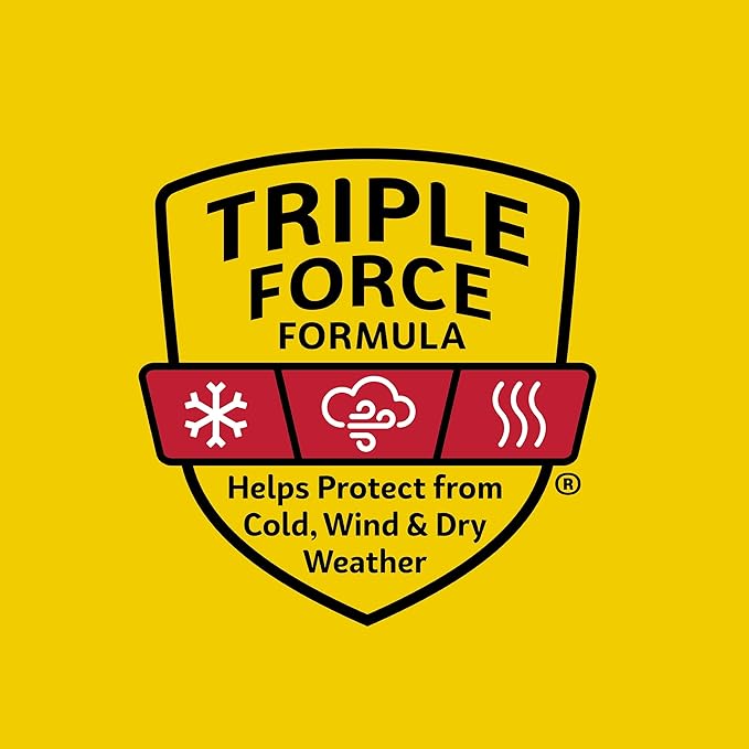 Carmex Classic Medicated Lip Balm Pack, Lip Moisturizer for Chapped Lips, 9-Count Variety Pack Bag (7 Tubes, 2 Sticks)