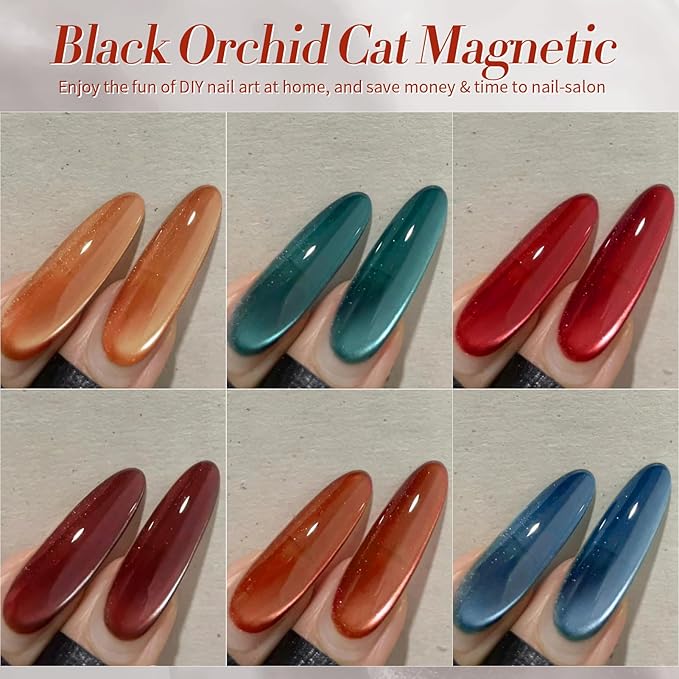 BORN PRETTY Magnetic Gel Nail Polish Water Light Cat Magnetic Eye Gel Black Orchid Jelly Glass Crystal Magnetic Gel Polish Glitter Shimmer Auroras Magnetic Gel Nail Art Manicure Kit 6PCS
