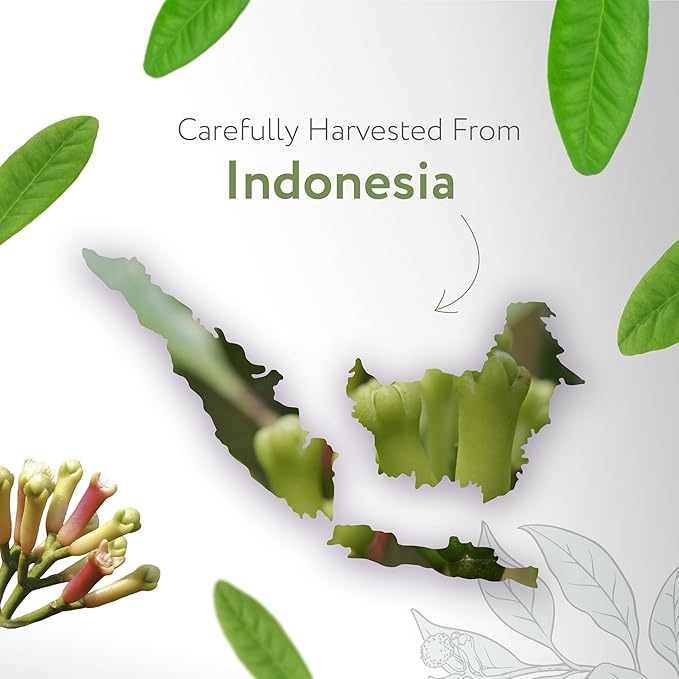 HBNO California Bottled Clove Leaf Essential Oil 4 fl oz (120ml) Value Size - Natural Clove Leaf Oil - Perfect for Cleaning, Aromatherapy, DIY, Soap & Diffuser