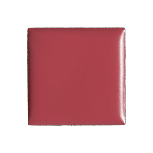 billion dollar brows Lip & Cheek Tint - Pigment