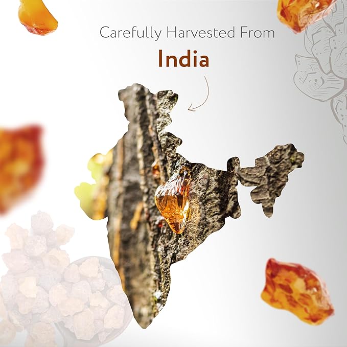 HBNO California Bottled Organic Frankincense Essential Oil 4 fl oz (120ml) - USDA Certified Oil - Organic Frankincense Essential Oil for Skin and Aromtherapy