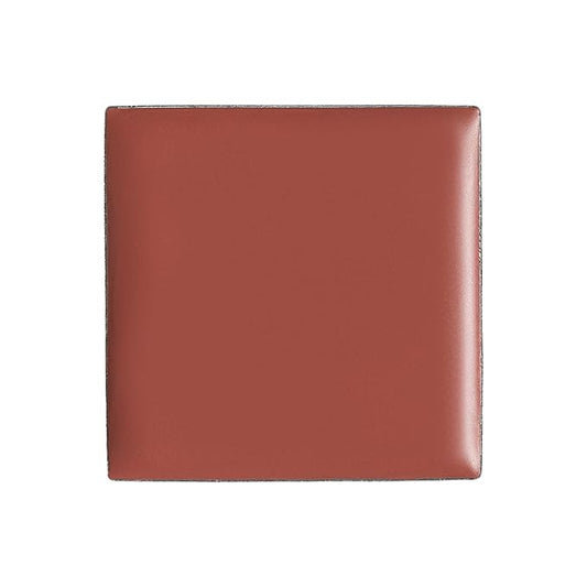 billion dollar brows Lip & Cheek Tint - Pigment