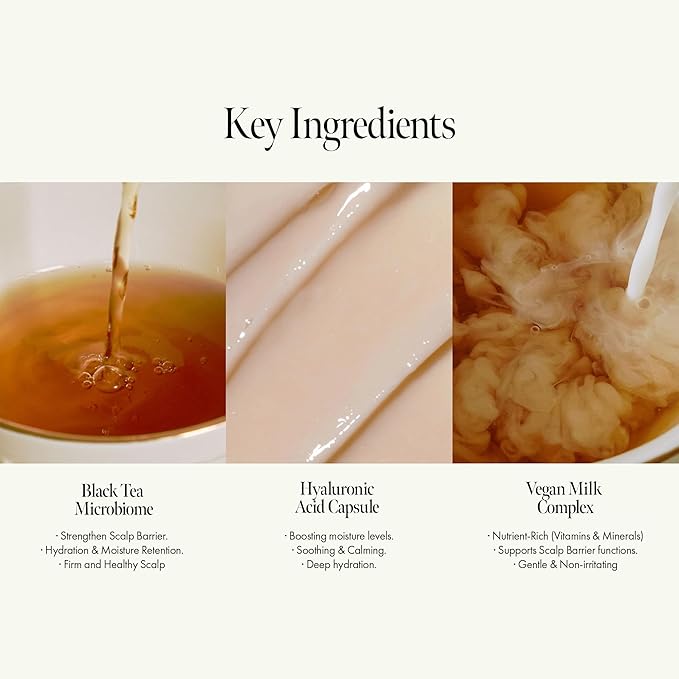 Vegan Nourishing Scalp Shampoo with Black Tea, Hyaluronic & Amino Acids to Strengthen Scalp Barrier, Creamy Woody Scent, Paraben, Sulfate & Silicone Free 450ml / 15.22 fl. Oz