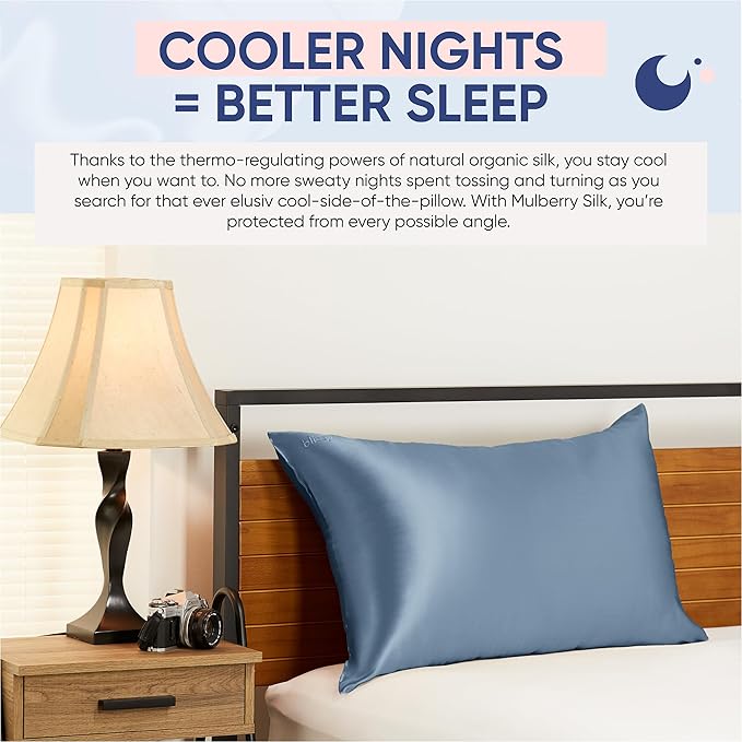 Blissy Silk Pillowcase - 100% Pure Mulberry Silk - 22 Momme 6A High-Grade Fibers - Silk Pillow Cover for Hair & Skin - Regular, Queen & King (Ash Blue, Queen)