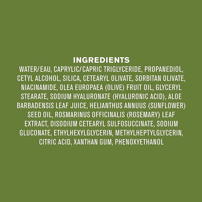 Every Man Jack Daily Face Lotion for Men - Deeply Moisturize and Revive Dry, Tired Skin with Hyaluronic Acid, Aloe Vera and Niacinamide - 2.5 oz Men’s Face Lotion (2 Pack)