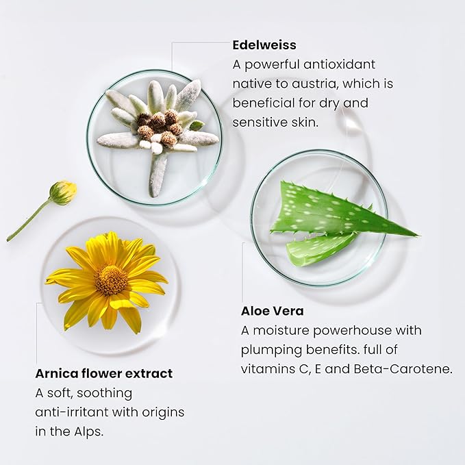 Monika Blunder Beauty - Blunder Cover Foundation Concealer - Shade: 8 - Acht - Deep/Dark with Red Undertones - Clean Beauty, All-In-One, Cruelty-Free, Vegan - 0.62 oz