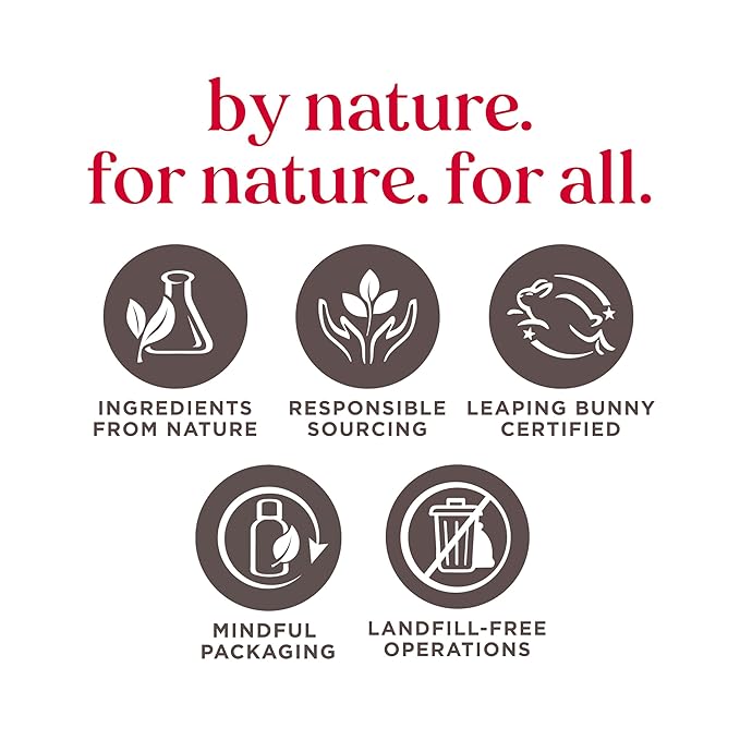 Burt's Bees Overnight Intensive Lip Treatment,