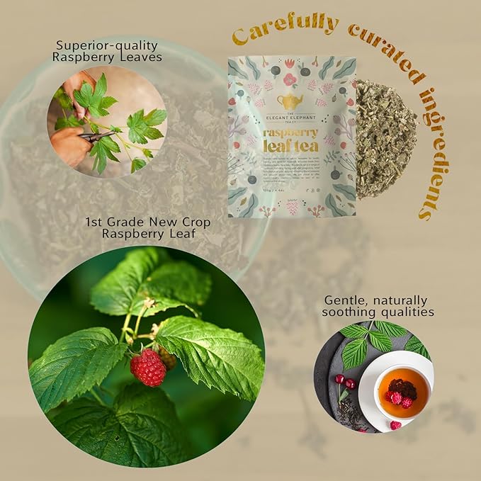 Raspberry Leaf Tea, Loose Leaf Herbal Tea – Supports Pregnancy & Labor Prep, Natural Menstrual Pain Relief – Women's Health – 4.4 oz Resealable Bag (Makes 50 Cups) – The Elegant Elephant