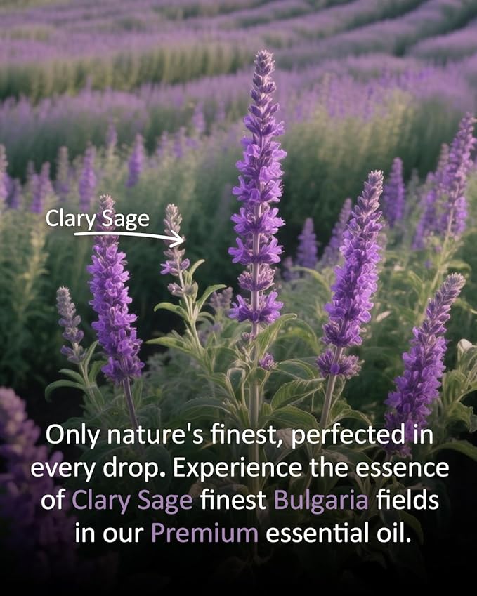 Pure Clary Sage Essential Oil, 100% Pure Natural Clary Sage Essential Oil, Premium Grade Essential Oils for Diffusers for Home, Skin, Care Massage, Soap Making, Aromatherapy, 4 Fl Oz | 120ml