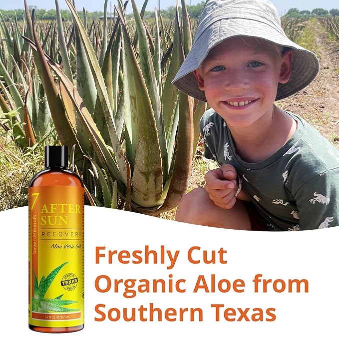 NEW Recovery After Sun Gel with Aloe Vera - For Skin & Face with Instant Sunburn Relief. Unlike Regular Aftersun Lotion, Ours Is Made From Freshly Cut Texas Aloe. With Mango & Chamomile (12 Fl Oz)