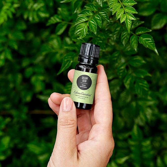 Edens Garden Celery Seed Essential Oil- 100% Pure Premium Grade, Undiluted, Natural, Therapeutic, Aromatherapy, The Best for Diffuser, Skin, Candle, Laundry 30 ml (1 fl oz)