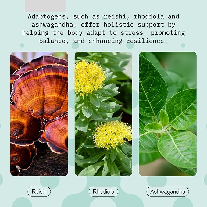 Relax Drink for Relaxation and Stress Relief, Contains Ashwagandha, Rhodiola Rosea and Reishi Mushroom with Advanced Nanoscience Technology, 3 Pack Calm Nervous System Berry Hibiscus, 2oz