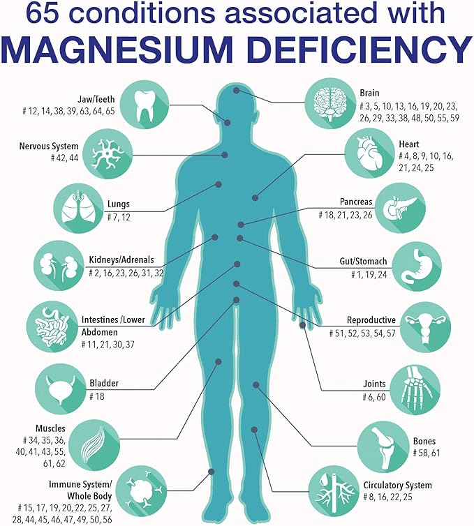 RnA ReSet ReMag – Pico-Ionic Liquid Magnesium for High Absorption, 16.2 Fl Oz (1-Pack)
