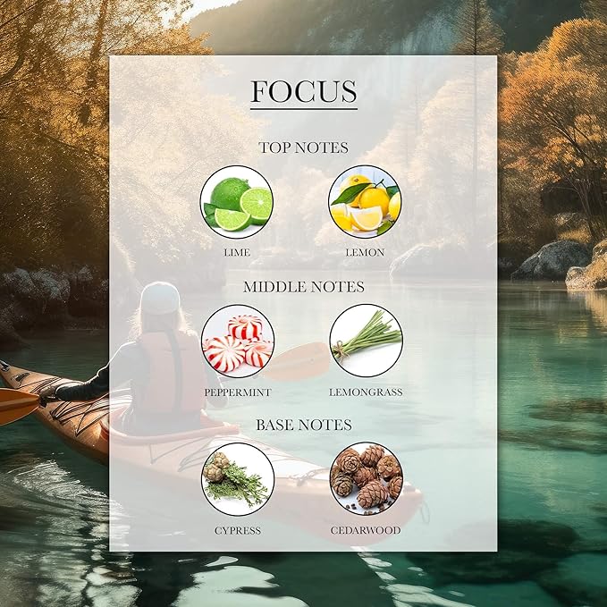 Aromatherapy Collection (20ML) (Focus)