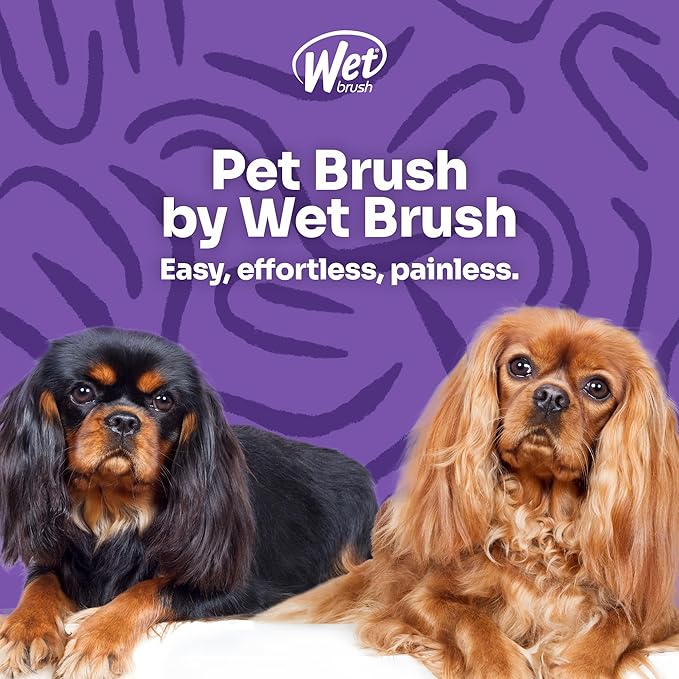 Wet Brush Pet Hair Brush,