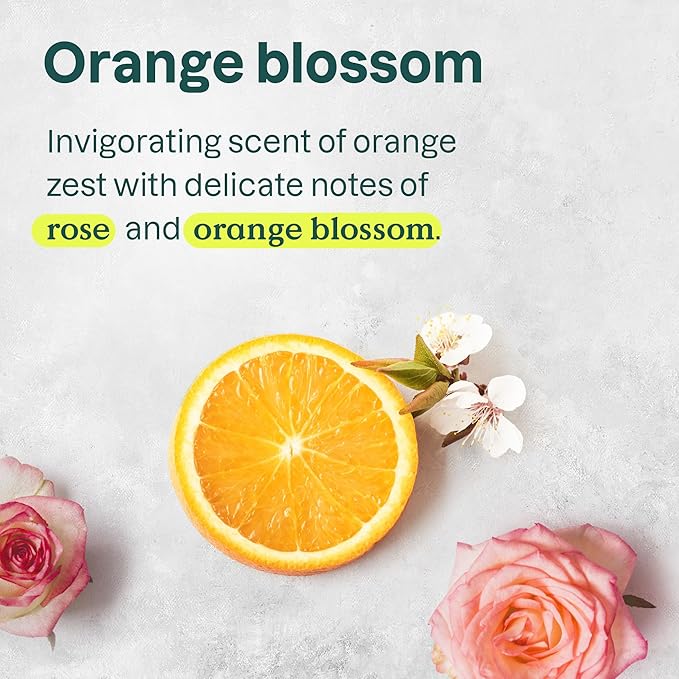 ATTITUDE Nourishing Shampoo for Curly Hair with Moringa Oil, EWG Verified, Vegan and Naturally Derived, 3a, 3b, 3c Curl Type, Provides Lightweight Moisture to Curls, 16 Fl Oz