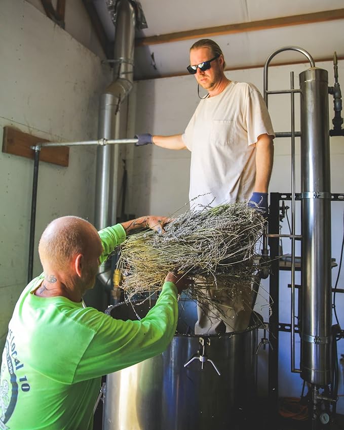 Victoria's Lavender Aromatherapy Body Mist Spray - After Sun Solar Recovery Spray with Aloe Vera plus Lavender Essential Oil - Hydrating, Moisturizing Aloe Vera Mist, Made in the USA, 4 oz (120 ml)