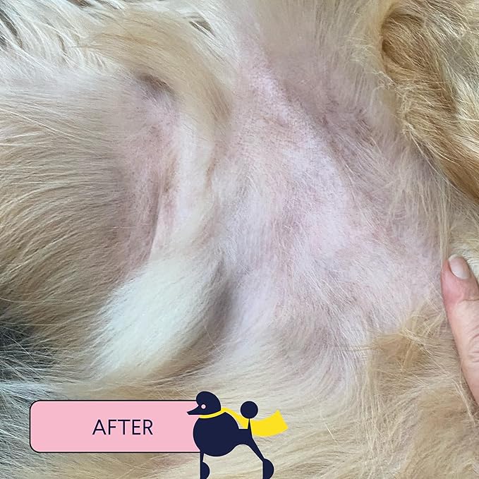 Finn skin hero | revitalizing