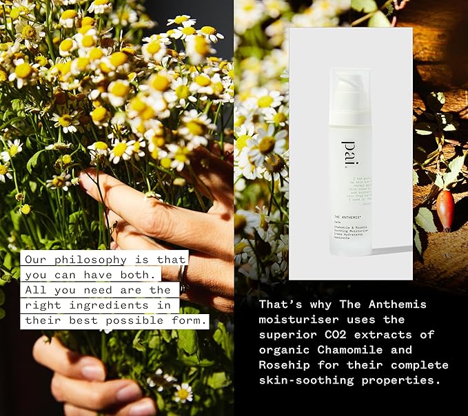 PAI SKINCARE - The Anthemis: Organic Chamomile + Rosehip Soothing Facial Moisturizer | Natural, Vegan, Sensitive Skincare (1.7 fl oz | 50 mL)
