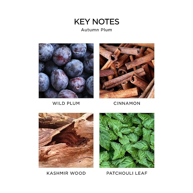 NEST New York Liquid Soap, Autumn Plum - 10 fl oz - Cleanses & Nourishes Skin - Approx. 300 Pumps Per Bottle - Gluten Free & Cruelty Free