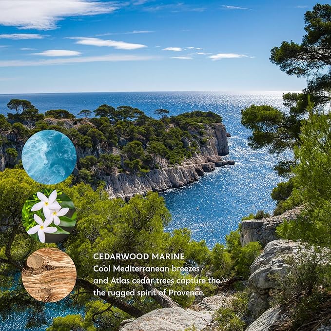 Mistral Bar Soap, Cedarwood Marine, Large