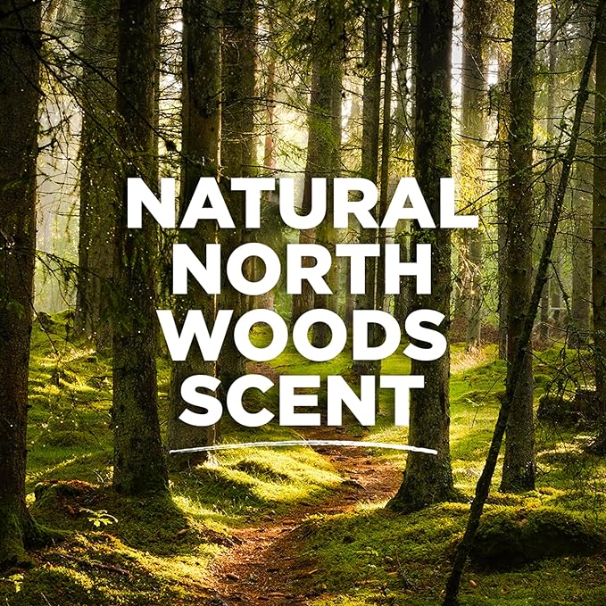 Tom's of Maine Antiperspirant Deodorant for Men, North Woods, 2.8 oz, Pack of 3 (Packaging May Vary)